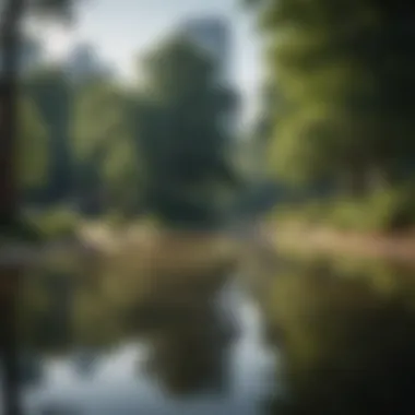 A tranquil urban park scene in Atlanta with standing water