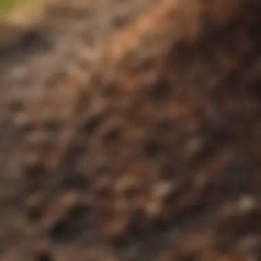 A close-up view of mulch integrated with termite-resistant materials