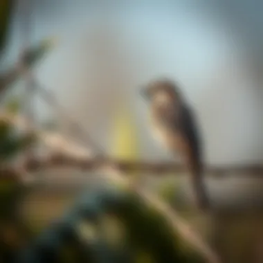 Natural Bird Deterrents: A Comprehensive Guide Summary