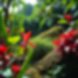 Diverse Hawaiian ecosystem showcasing native plants and wildlife.