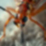 Close-up of local pest species commonly found in Murfreesboro