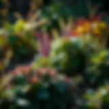 A lush garden showcasing healthy plants as a barrier against pests