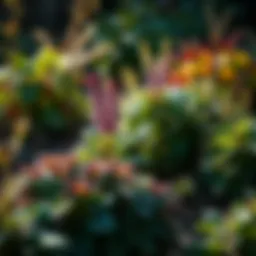 A lush garden showcasing healthy plants as a barrier against pests