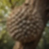 A close-up view of a wasp nest hanging from a tree branch
