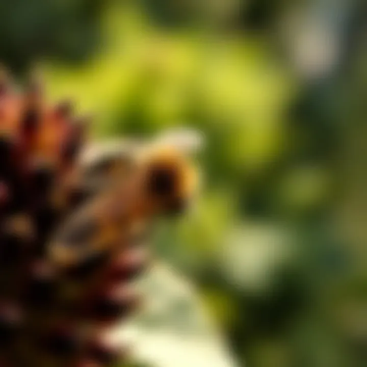 Notable Strategies for Safely Removing Bees from Shrubs Notable Strategies for Safely Removing Bees from Shrubs