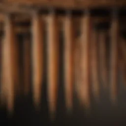 Close-up view of termite tubes hanging from a ceiling