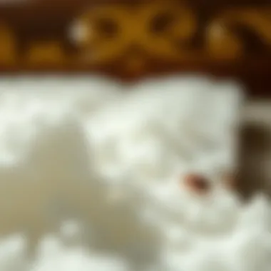 The Efficacy of Sulfur in Bed Bug Control Summary