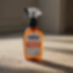 A visually appealing bottle of flea spray on a clean surface