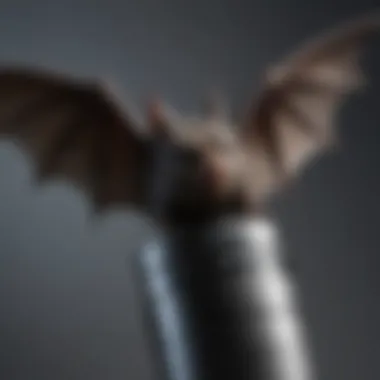 Modern Ultrasonic Bat Repellent Design A close-up view of an ultrasonic bat repellent device showcasing its modern design.