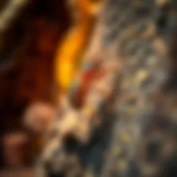 Understanding and Managing Swarming Termites Introduction