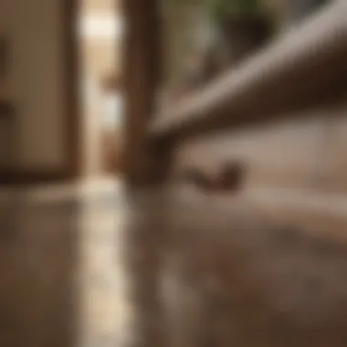 Ant Trails in Residential Spaces Ant trails in a home environment