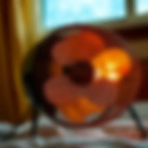 Detailed view of a bed bug heater fan in action