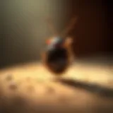 Understanding Bed Bug Temperature: An In-Depth Exploration Introduction