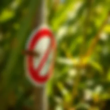 Environmental impact of using Endzone insecticide stickers