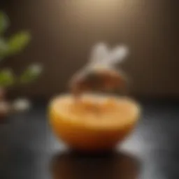 Eco-friendly fruit fly trap using natural ingredients