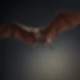 Close-up of bat with glowing red eyes in flight