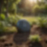 Close-up view of a sonar mole deterrent device in a garden setting