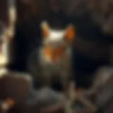 Curious Squirrel in Crawl Space Squirrel in a crawl space observing its surroundings