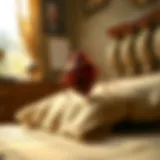 Understanding the Presence of Bed Bugs in Bed Frames Introduction