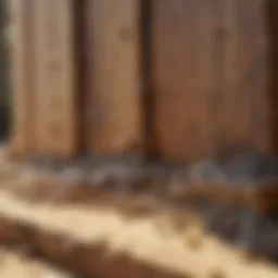 Detailed view of termite damage in wooden structures