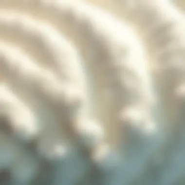 Texture and Properties of Spray Foam Close-up of spray foam texture and properties