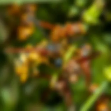 Diverse Species of Wasps in Nature An illustration depicting various species of wasps in their natural habitat, highlighting their diversity.