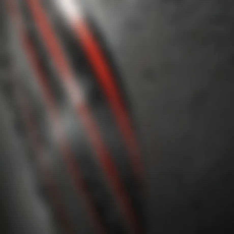 Close-up of woodpecker deterrent tape showcasing its reflective properties
