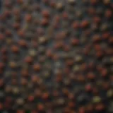 Close-up view of various ant baits arranged on a table