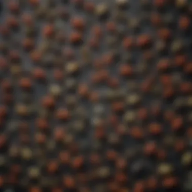 Variety of Ant Baits Close-up view of various ant baits arranged on a table